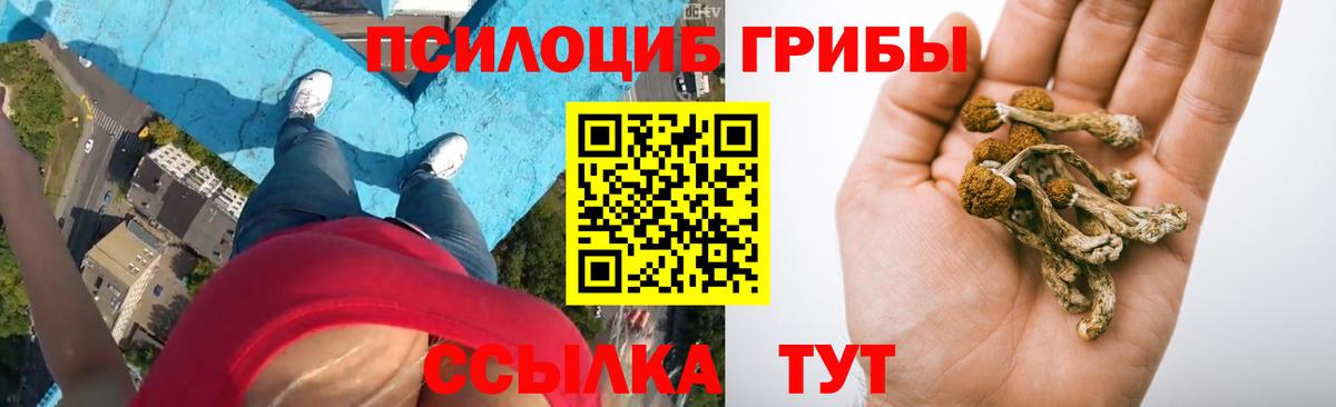 Псилоцибиновые грибы прущие грибы  Галлюциногенные грибы Psilocybe  Вход с VPN  Мирный 