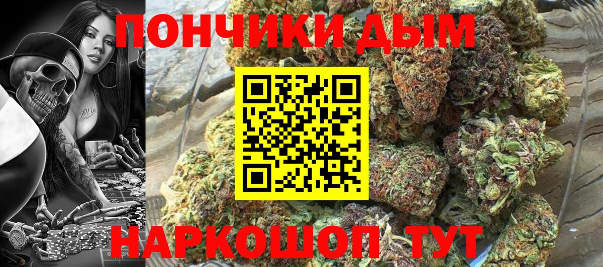 Бошки Шишки AK-47  Шишки марихуана ГИДРОПОН  Марихуана план  Вход с VPN  Мирный  Шишки марихуана гибрид 